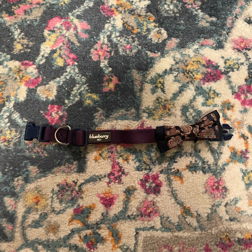 Bow Tie Collar